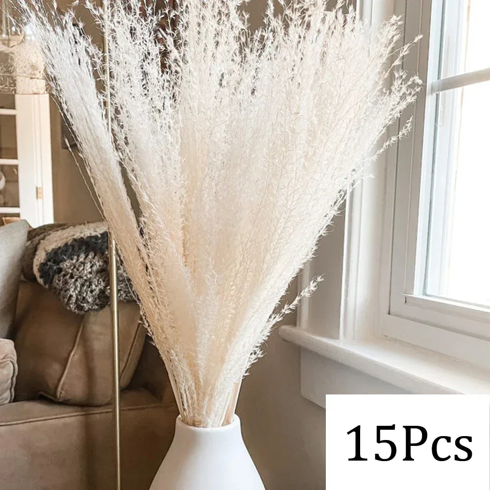 Pampas Grass Phragmites Reed Dried Natural Flowers Bouquet Arrangement Wedding Party Decor Decorations For Home Table - Luvia