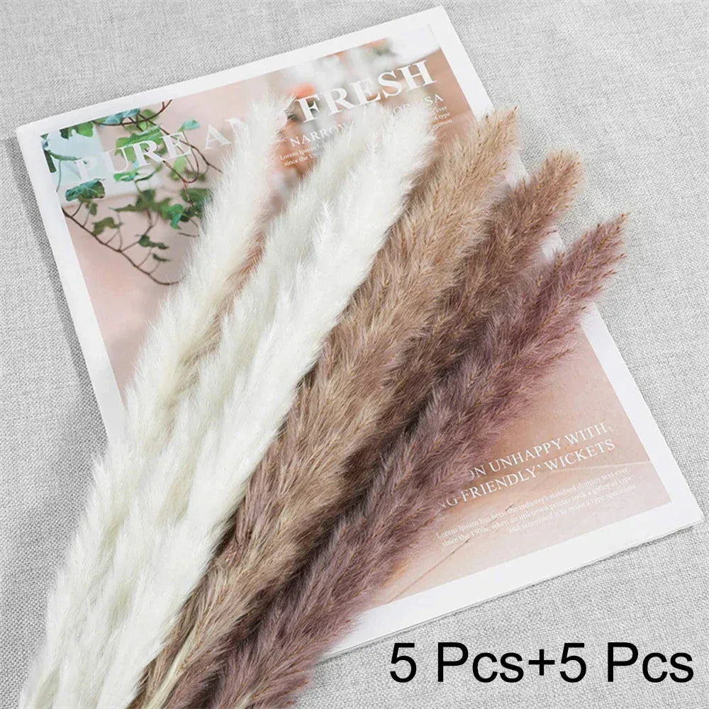 Pampas Grass Phragmites Reed Dried Natural Flowers Bouquet Arrangement Wedding Party Decor Decorations For Home Table - Luvia