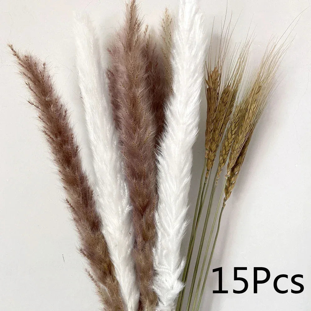 Pampas Grass Phragmites Reed Dried Natural Flowers Bouquet Arrangement Wedding Party Decor Decorations For Home Table - Luvia