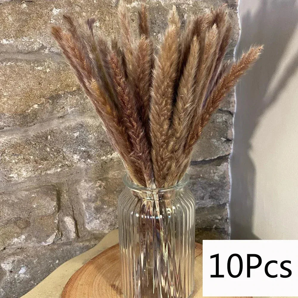 Pampas Grass Phragmites Reed Dried Natural Flowers Bouquet Arrangement Wedding Party Decor Decorations For Home Table - Luvia