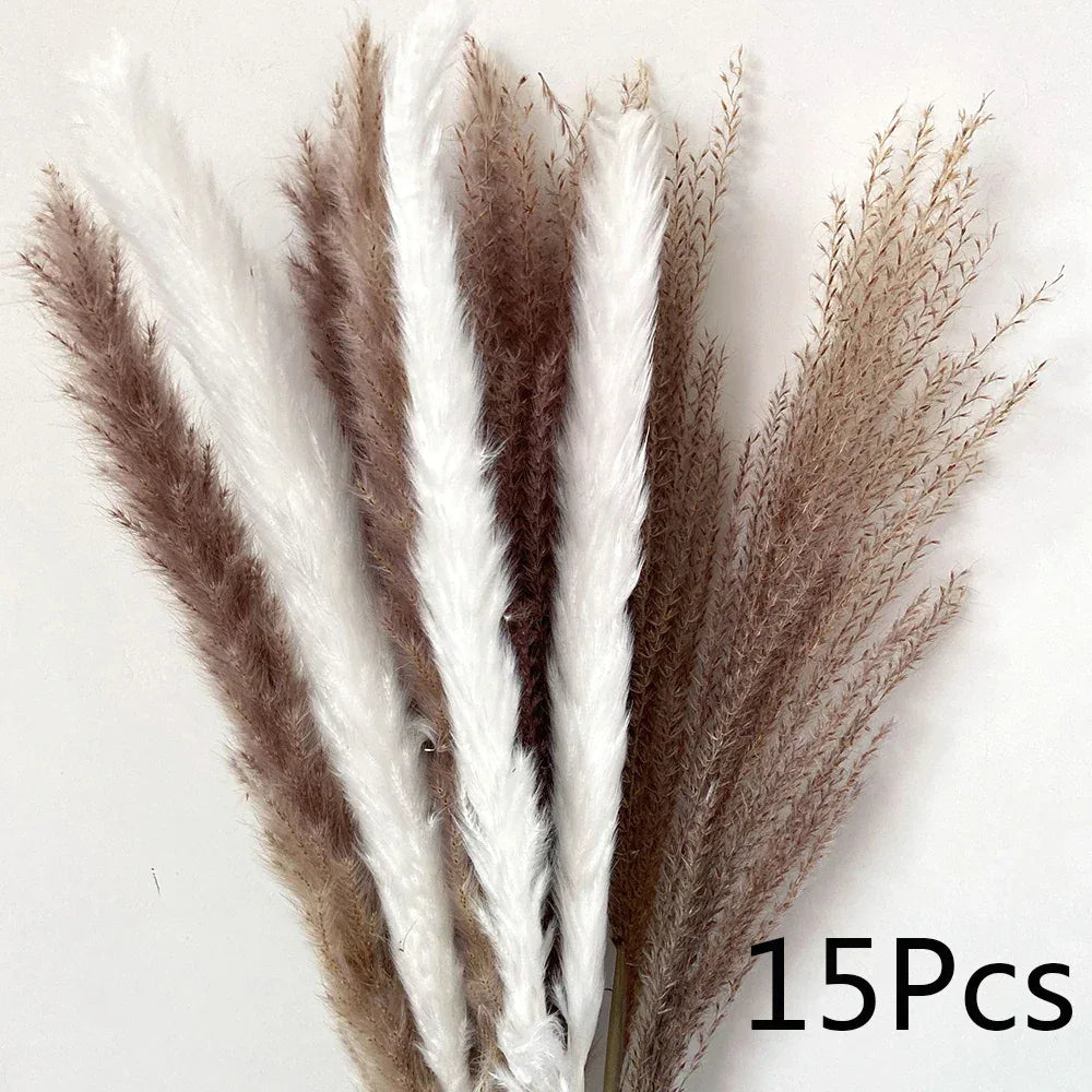 Pampas Grass Phragmites Reed Dried Natural Flowers Bouquet Arrangement Wedding Party Decor Decorations For Home Table - Luvia