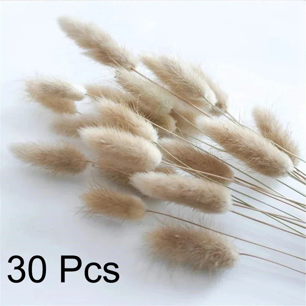 Pampas Grass Phragmites Reed Dried Natural Flowers Bouquet Arrangement Wedding Party Decor Decorations For Home Table - Luvia