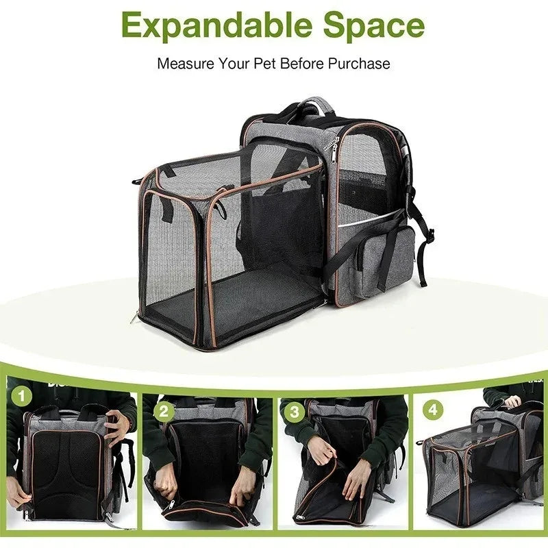 Expandable Pet Carrier Backpack For Small Cats And Dogs Airline Approved Foldable Dog Carrier With Comfortable Inner Padding - Luvia
