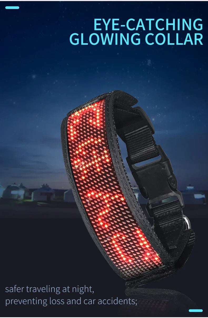 LED Dog Collar USB Rechargeable Light Up Dog Collar Adjustable Comfortable Safety Dog Collar for Small, Medium, Large Dogs - Luvia