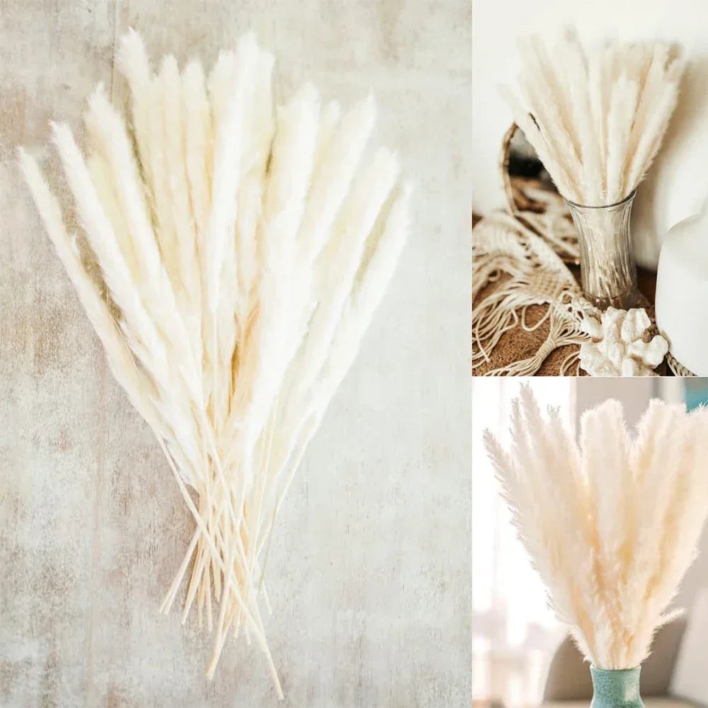 Pampas Grass Phragmites Reed Dried Natural Flowers Bouquet Arrangement Wedding Party Decor Decorations For Home Table - Luvia