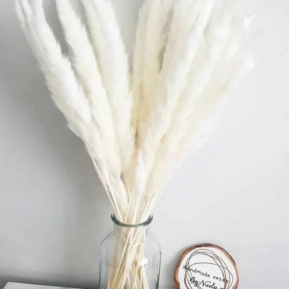 Pampas Grass Phragmites Reed Dried Natural Flowers Bouquet Arrangement Wedding Party Decor Decorations For Home Table - Luvia