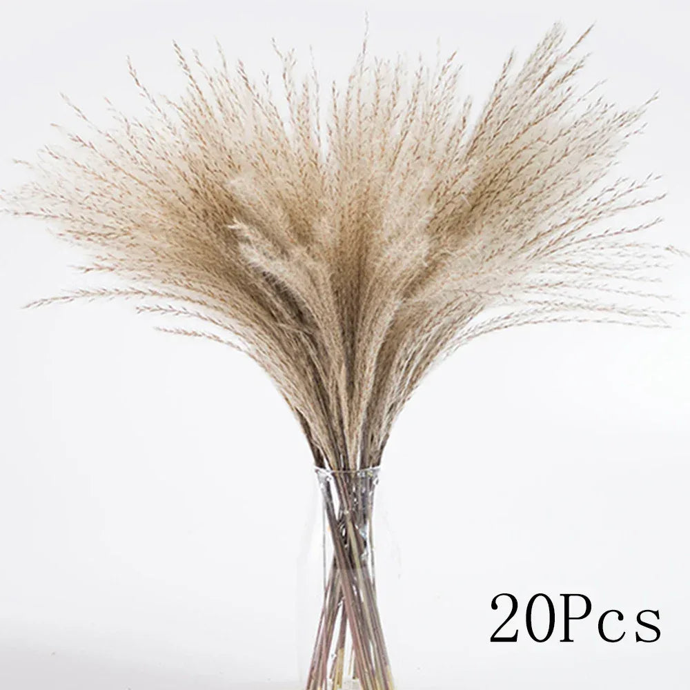 Pampas Grass Phragmites Reed Dried Natural Flowers Bouquet Arrangement Wedding Party Decor Decorations For Home Table - Luvia