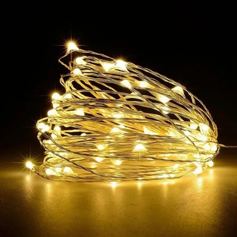 Fairy Light String Led Copper Wire String Light 1/2/3/5/10/30M USB/Battery Powered For Bedroom Garden Party Wedding Decoration - Luvia