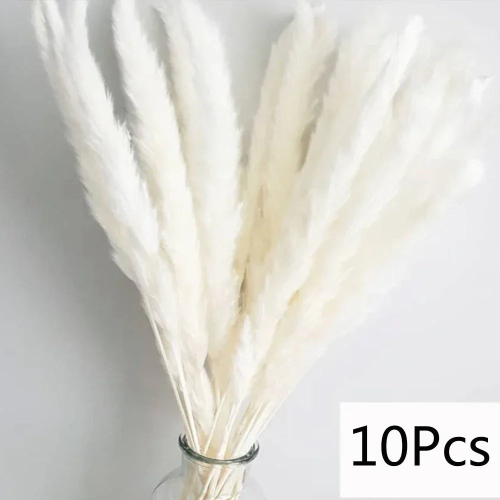 Pampas Grass Phragmites Reed Dried Natural Flowers Bouquet Arrangement Wedding Party Decor Decorations For Home Table - Luvia