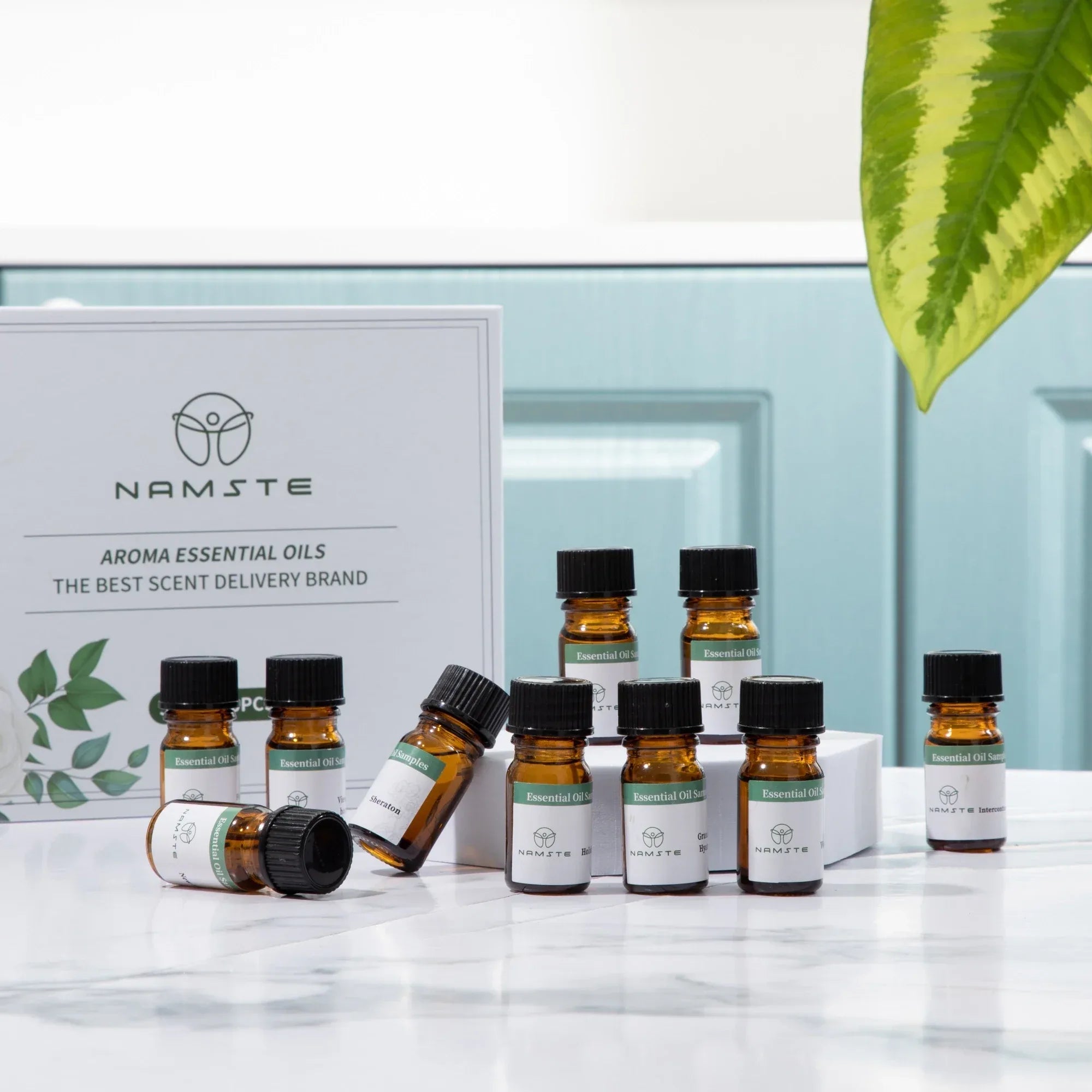 Essential Oil Samples Sets Of Various Types Fragrance Series 5ml Suitable For Aroma Diffuser Machine Air Humidifier Ionizer - Luvia