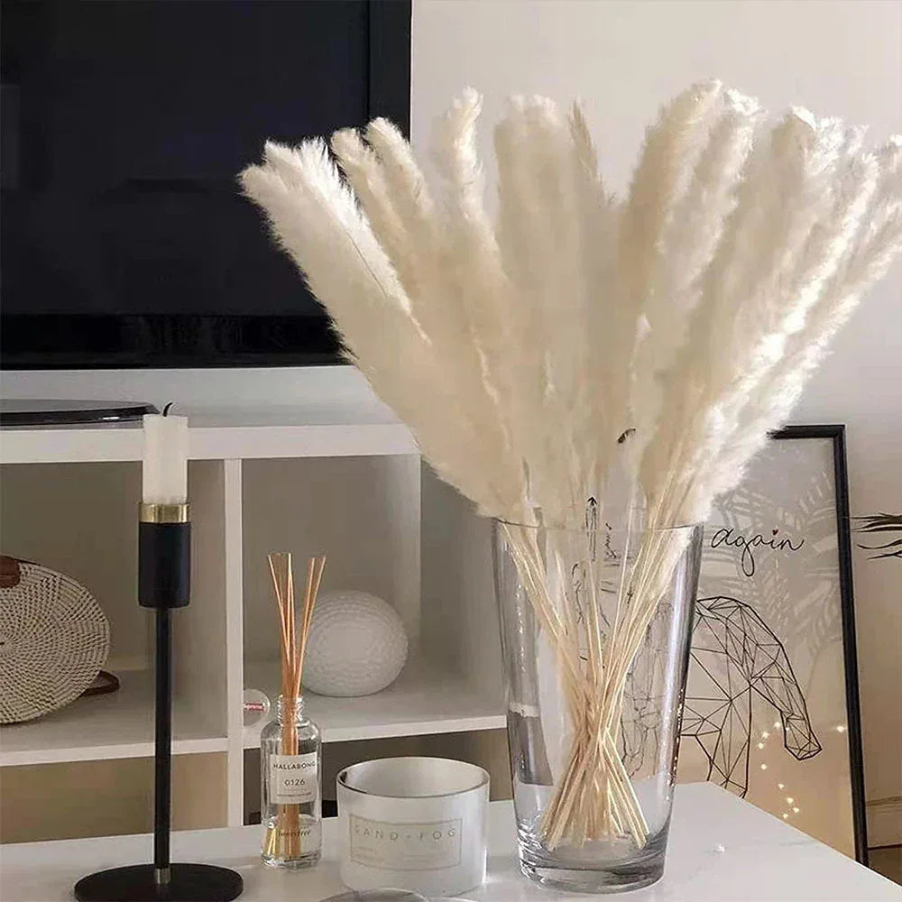 Pampas Grass Phragmites Reed Dried Natural Flowers Bouquet Arrangement Wedding Party Decor Decorations For Home Table - Luvia