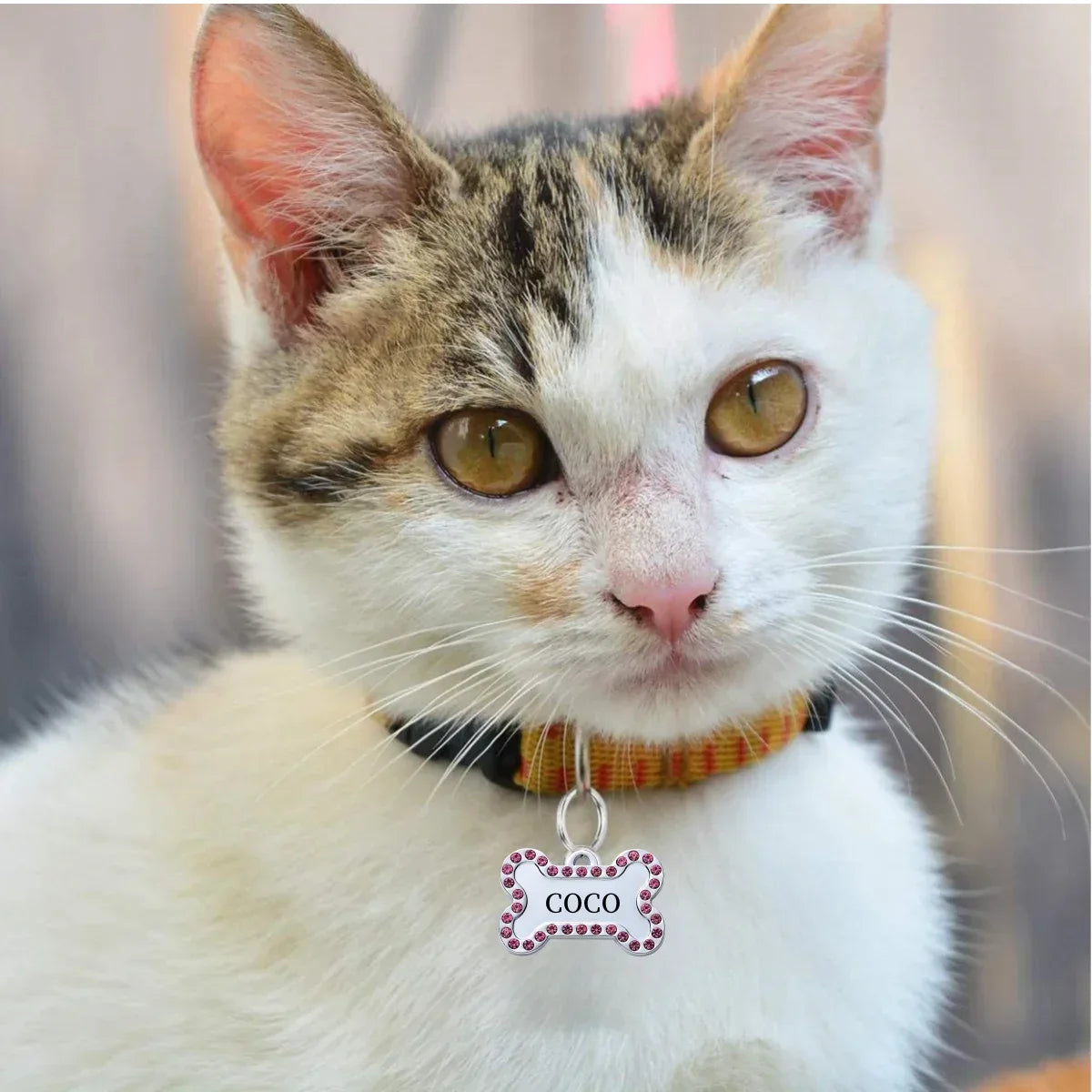 VIP Customizable Engraved Pets ID Tag for Dog Cat Bronze Nameplate Tags Personalized Address Number Dogs Collar ID Pendant - Luvia