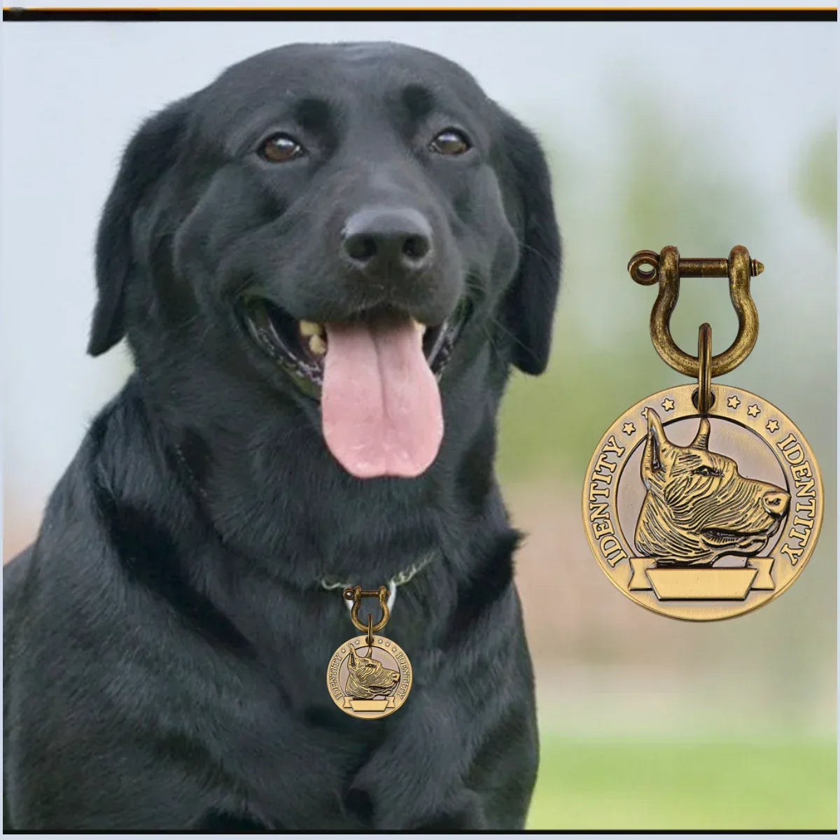 VIP Customizable Engraved Pets ID Tag for Dog Cat Bronze Nameplate Tags Personalized Address Number Dogs Collar ID Pendant - Luvia
