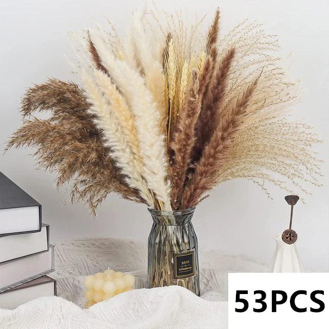 Natural Pampas Grass Bouquet Dried Flowers Autumn Home Room Decoration DIY Christmas Gift Artificial Flowers Wedding Arrangement - Luvia