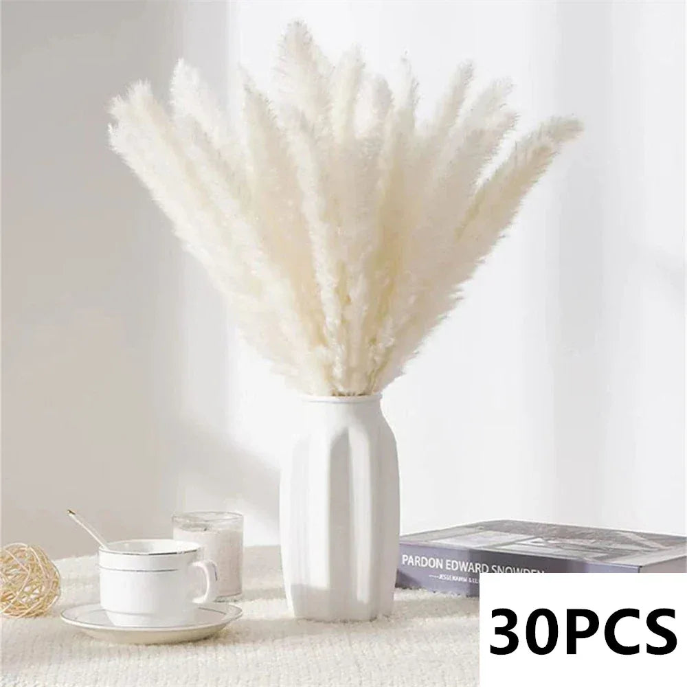 Natural Pampas Grass Bouquet Dried Flowers Autumn Home Room Decoration DIY Christmas Gift Artificial Flowers Wedding Arrangement - Luvia